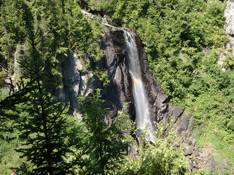 OK Slip Falls 6