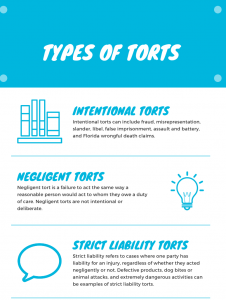 Types of Torts 226x300 1