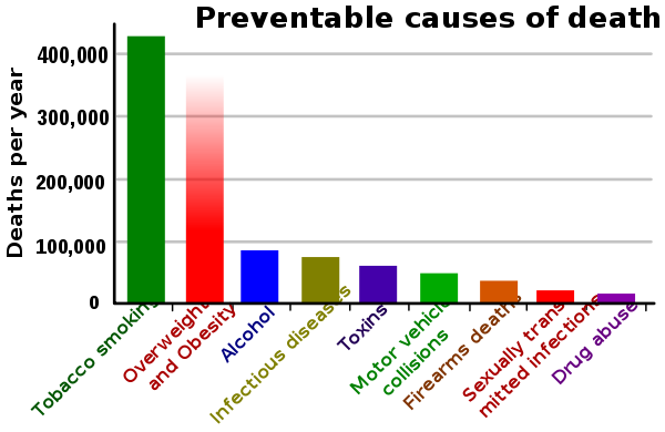 What Percentage of Deaths Are Caused by Car Accidents?